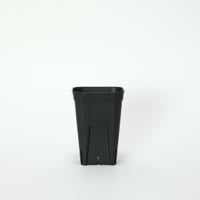 プレステラ 深鉢 75 5個セット
