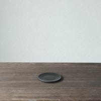 PlasticPlate 100