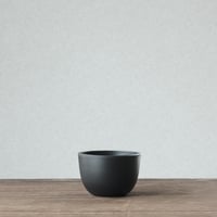 PlasticPot BowlMid Size5