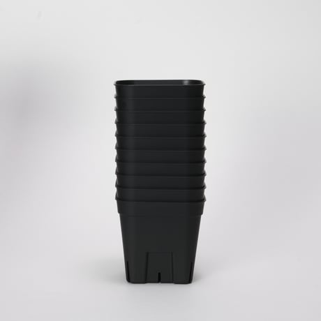 プレステラ 90 10個セット