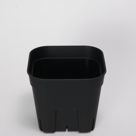 プレステラ 105 10個セット