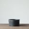 PlasticPot BasicLow Size5