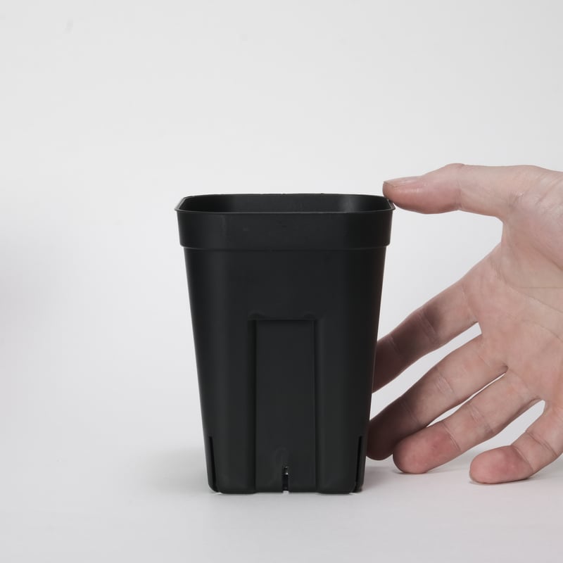 プレステラ 深鉢 105 5個セット | Maceta