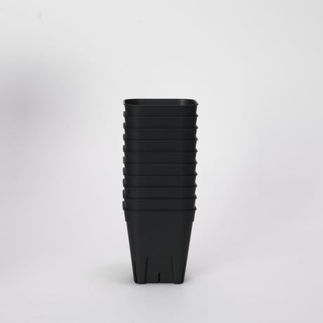 プレステラ 75 10個セット