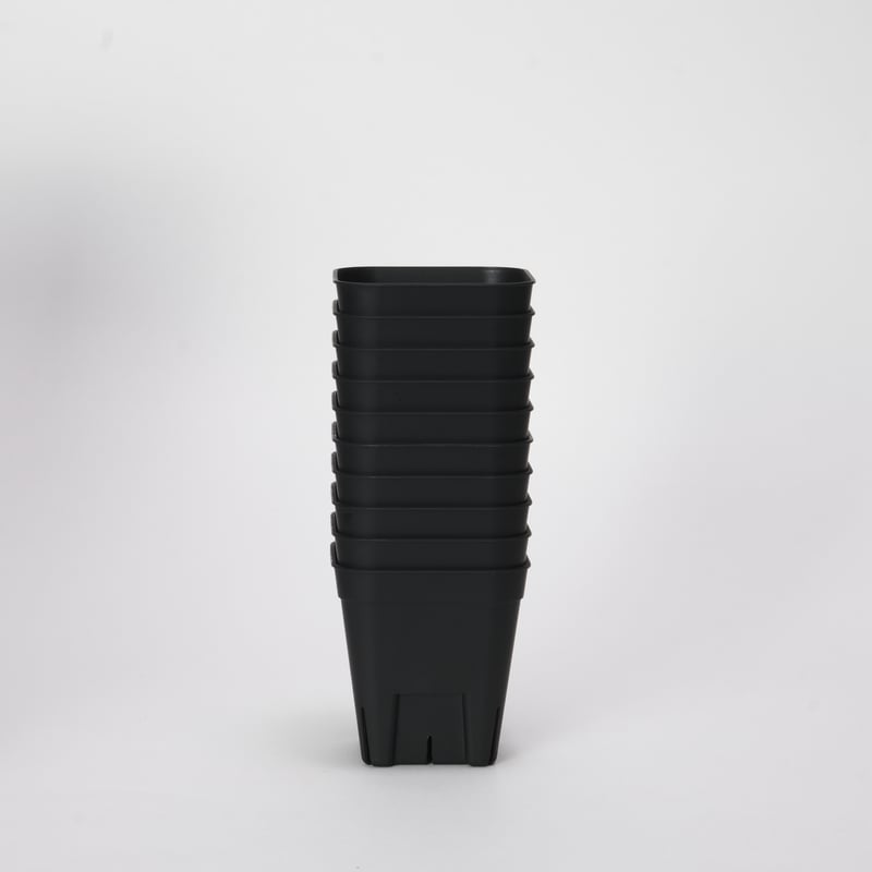 プレステラ 75 10個セット | Maceta