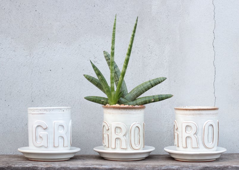 BROWN by 2-tacs】GROW pot | YAMANAMI