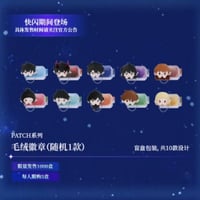 【全知的な読者の視点から × BilibiliGoods】2025年中国上海 POP-UP STORE PATCHシリーズ トレーディング ぬいバッジ（全10種）