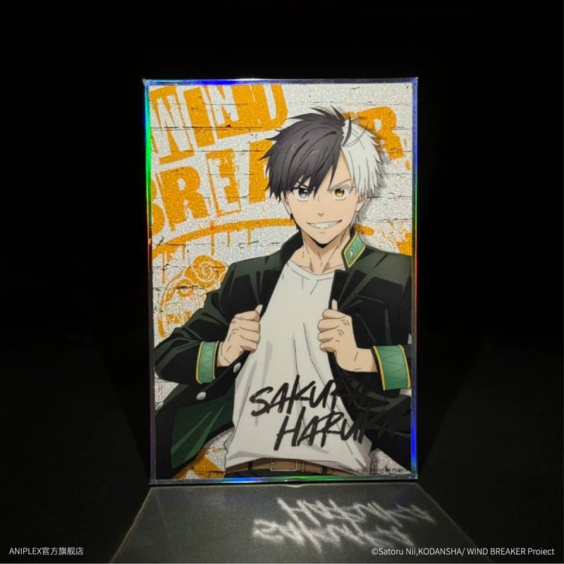 WIND BREAKER × ANIPLEX】中国発売 トレーディング 色紙（全5種）※予約