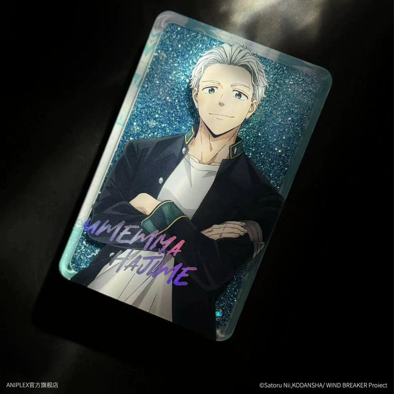 WIND BREAKER × ANIPLEX】中国発売 流砂アクリルブロック（全6種）※予約