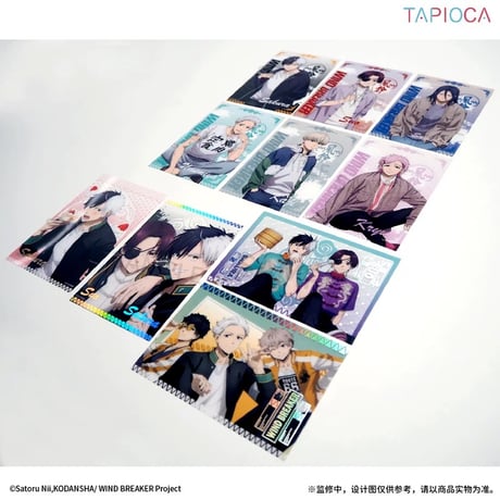 2/10〆【WIND BREAKER × TAPIOCA】ウィンブレ 中国発売 トレーディング クリアカード（全10種）