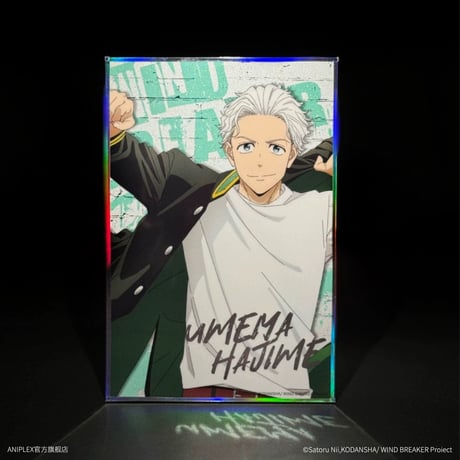 【WIND BREAKER × ANIPLEX】中国発売 トレーディング 色紙（全5種）※予約販売