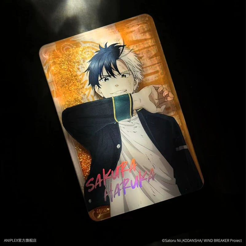 WIND BREAKER × ANIPLEX】中国発売 流砂アクリルブロック（全6種）※予約