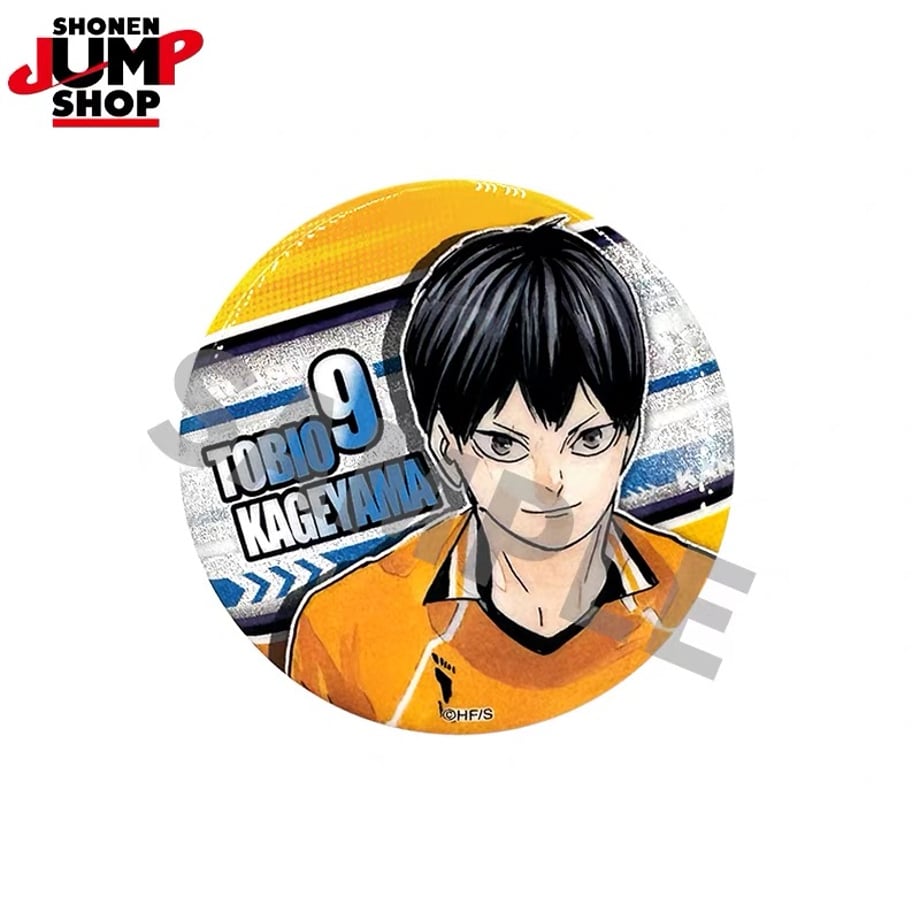 6a1d548f5ab45e379d95d783