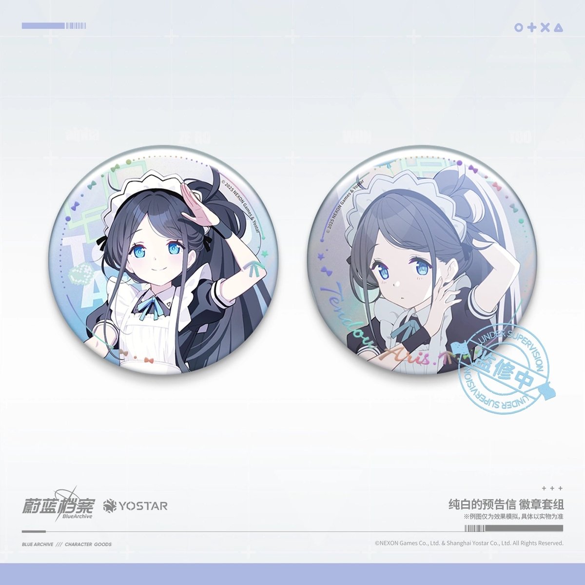 ブルーアーカイブ】-Blue Archive- ブルアカ 中国発売 「白亜の予告状