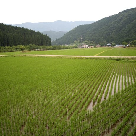 【店頭受取】4月便お惣菜セット1人前～3人前