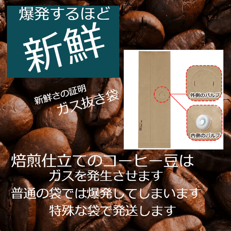 爆安!!【コーヒー生豆】タンザニアAA 5kg※送料無料 爆安!!【コーヒー生豆】