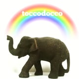 tokico store 