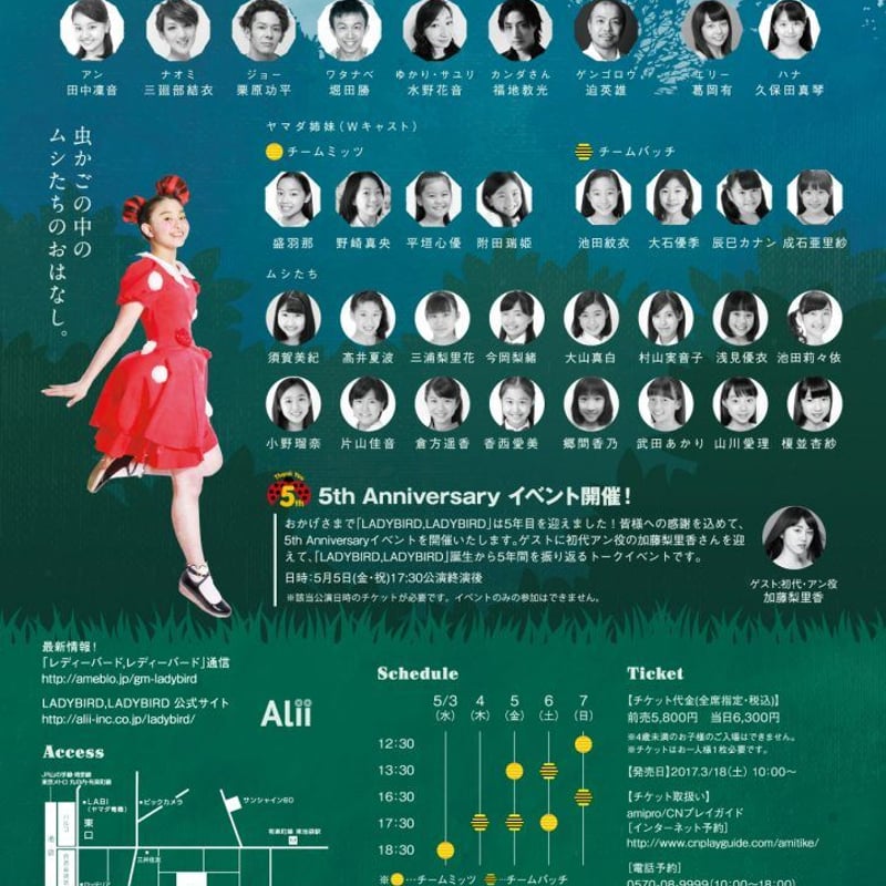 グリーンミュージカル 「LADYBIRD,LADYBIRD」2017年公演DVD | Alii