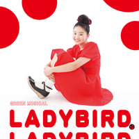 グリーンミュージカル 「LADYBIRD,LADYBIRD」2017年公演DVD | Alii