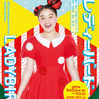 グリーンミュージカル 「LADYBIRD,LADYBIRD」2018年公演DVD | Alii
