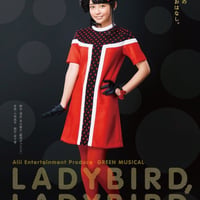 グリーンミュージカル 「LADYBIRD,LADYBIRD」2018年公演DVD