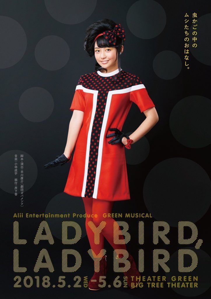 グリーンミュージカル 「LADYBIRD,LADYBIRD」2018年公演DVD | Alii