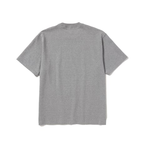 ALWAYTH Multi-colored embroidered T-Shirt Heather Gray
