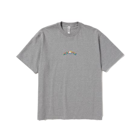 ALWAYTH Multi-colored embroidered T-Shirt Heather Gray