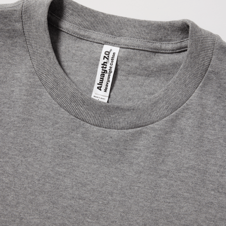 ALWAYTH Multi-colored embroidered T-Shirt Heather Gray