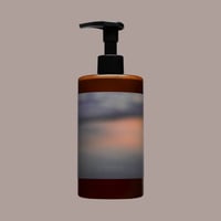 Sanva Hand&Bodysoap #2