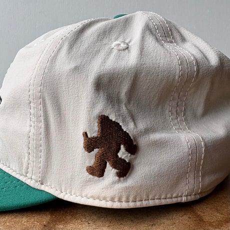TACOMA FUJI FOOT OF...CAP