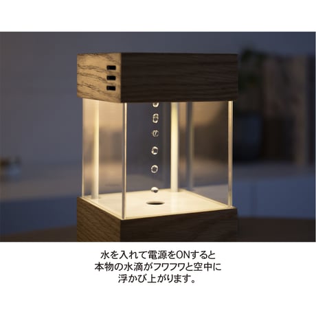 月額定額レンタル(ウォールナット)