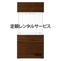 月額定額レンタル(ウォールナット)