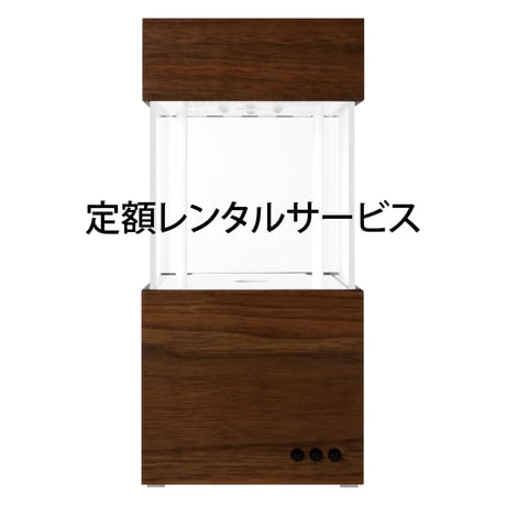 月額定額レンタル(ウォールナット)