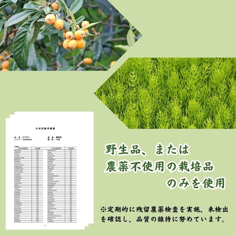 【スナフジタ】アルパカ公園 茶碗 新品 未使用 スナフジタ】アルパカ公園 茶碗 新品 未使用