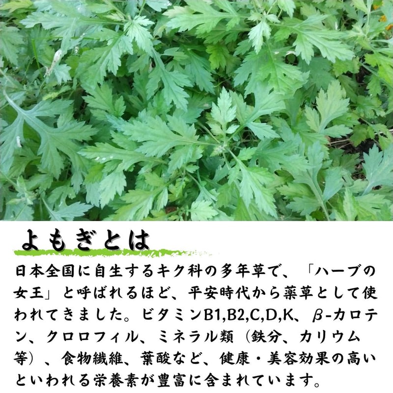 よもぎ茶（リーフ） | 高山茶園