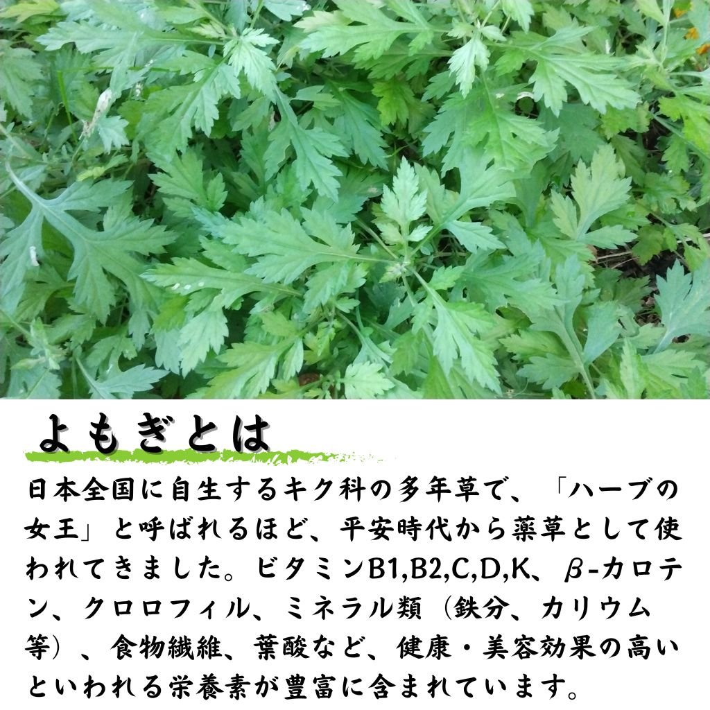 よもぎ茶 小川生薬 国産よもぎ茶 52g｜SUKUERU いろんなものを少しずつ