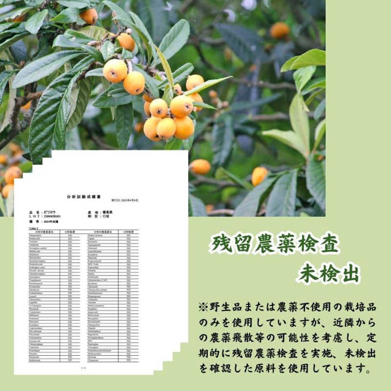 ビワの葉茶（リーフ） | 高山茶園