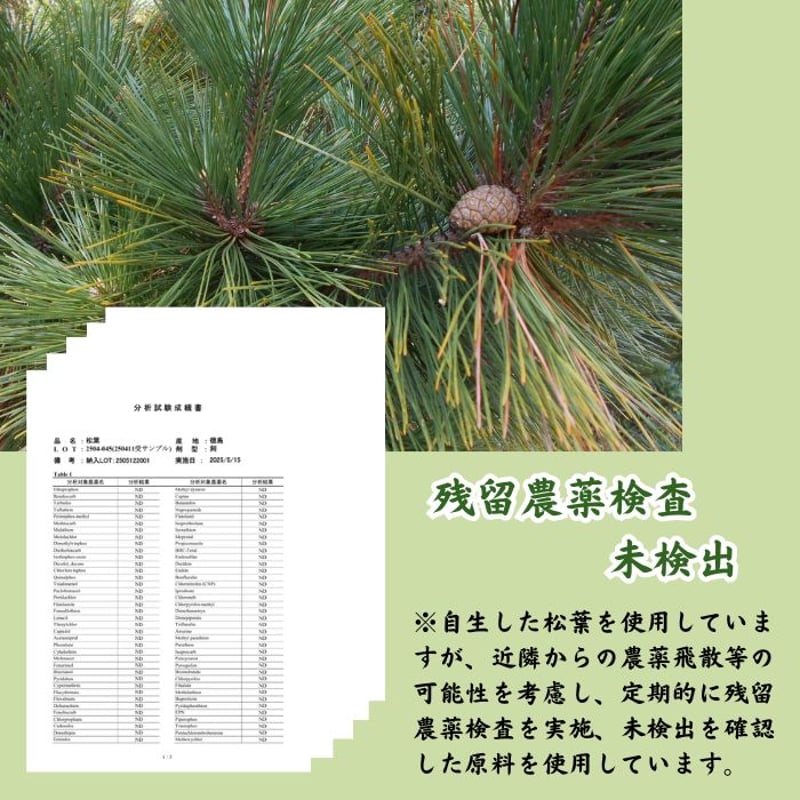 松葉茶 | 高山茶園
