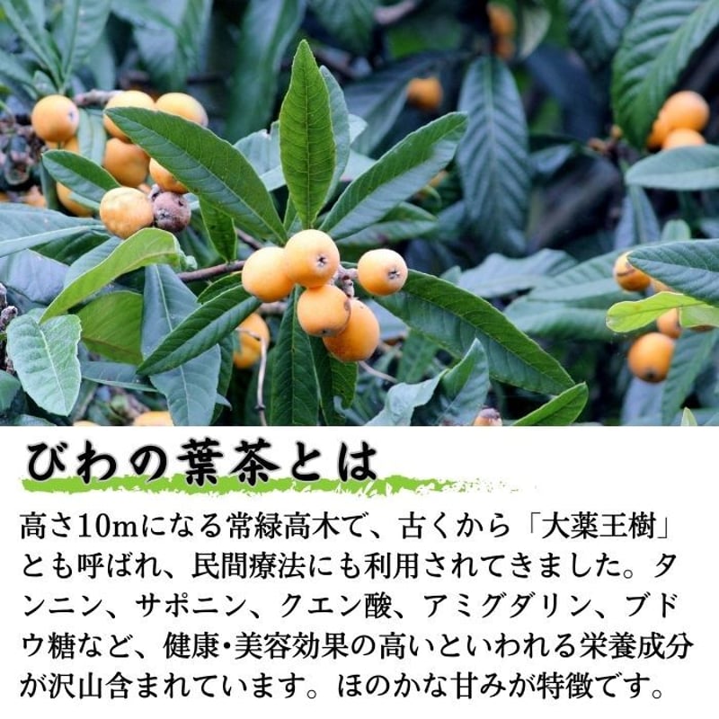 枇杷の葉　確認用 枇杷の葉 確認用 枇杷の葉確認用