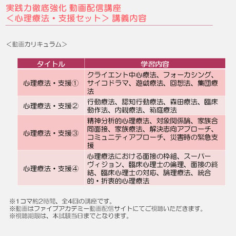 2026年度臨床心理士試験対策　実践力徹底強化 動画配信講座 全22回セット