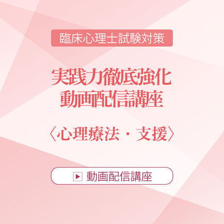 2026年度臨床心理士試験対策　実践力徹底強化 動画配信講座 ＜心理療法・支援＞