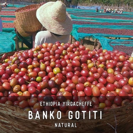 エチオピア　バンコ ゴティティ　ナチュラル
