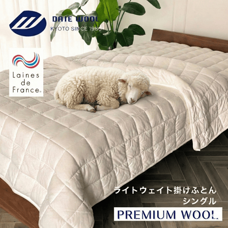 京都府認定商品　大恵ウール PREMIUM WOOL フランス産アルルメリノ種ウール100% 洗えるウールケット（シングル・日本製）