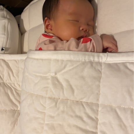 京都府認定商品　PREMIUM　WOOL　FOR　BABY（ﾗｲﾄｳｪｲﾄ掛け＋敷きﾊﾟｯﾄﾞ）