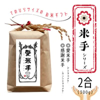 伊佐黄金米　○米手シリーズ　2合（300ｇ）