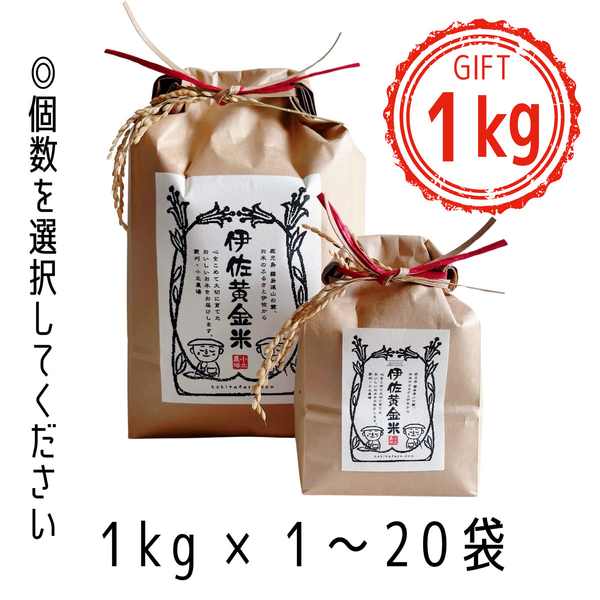 伊佐黄金米 ラッピングギフト 1kg×1～20袋 | 小北農場