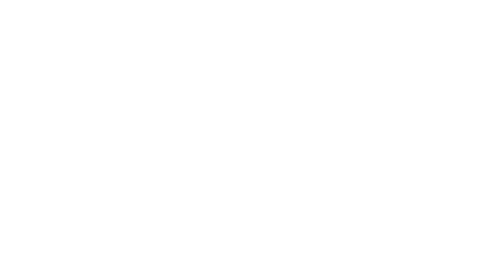 MOMENT STORE