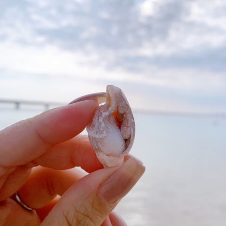 Jem shell （D）
