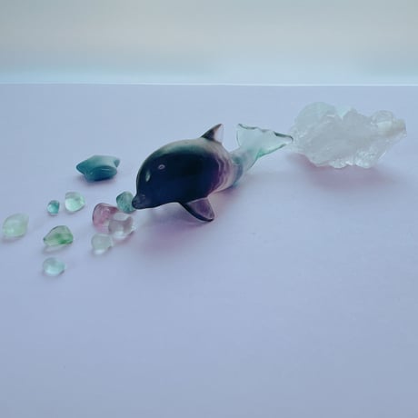 pure♡イルカ①